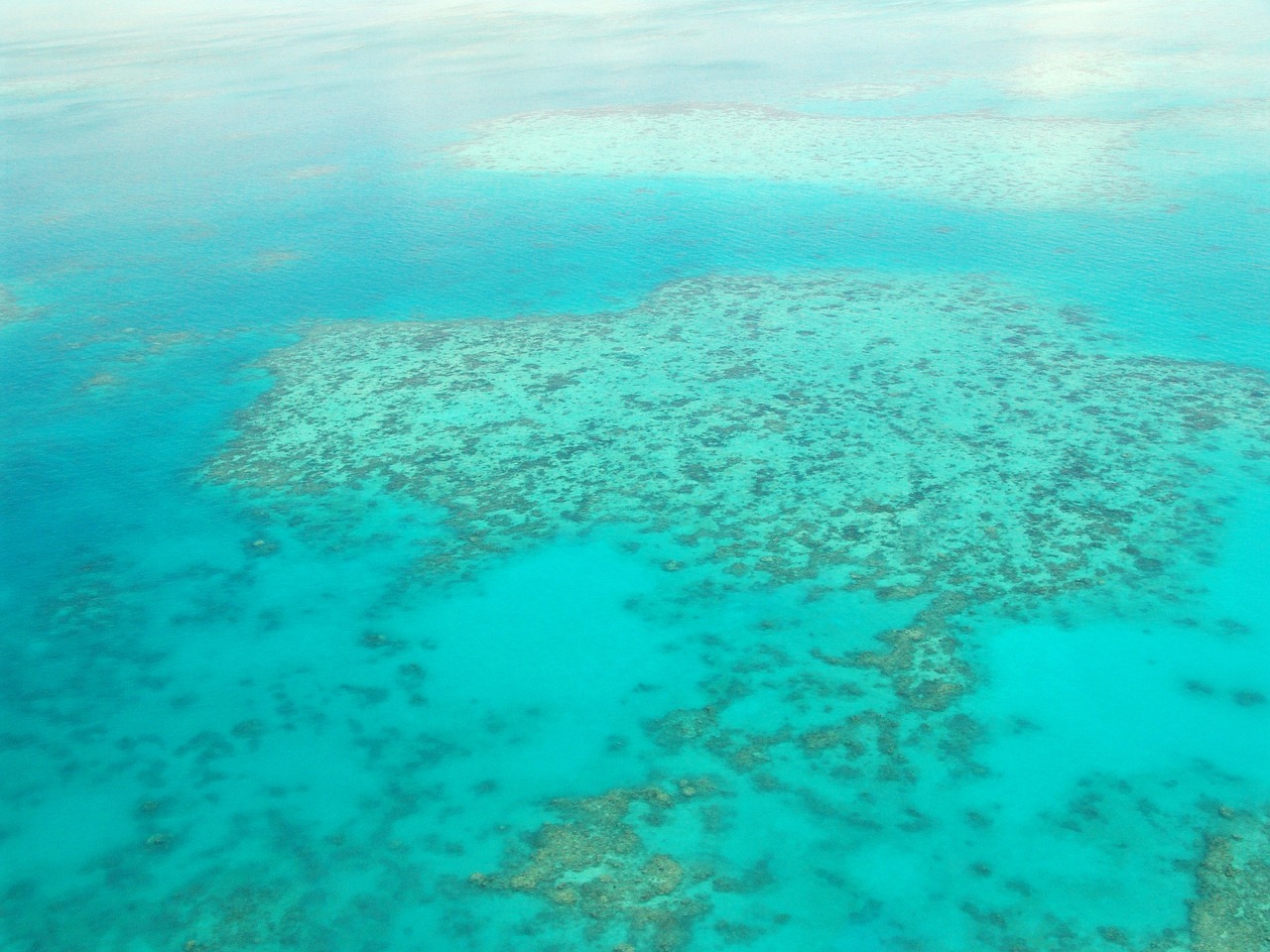 Great Barrier Reef, Avustralya