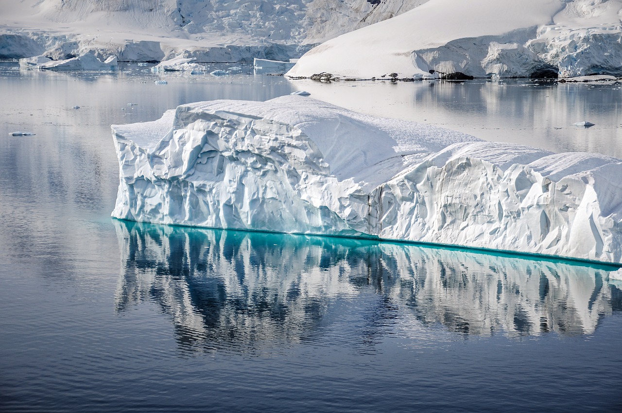 Antarktika Buzulları